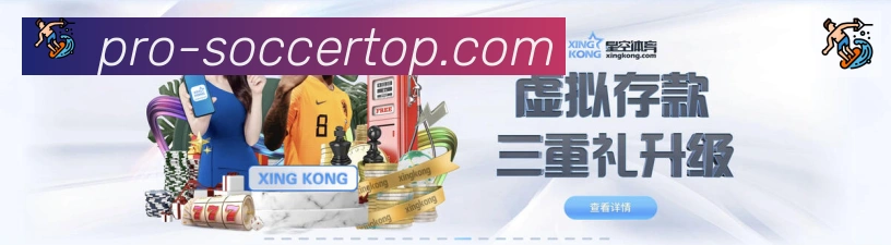 未来规划